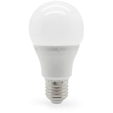 LED 6W – Standard Shape Bulb - Crystal Palace Lighting