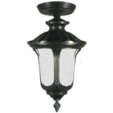 Waterford Exterior Under Eave in Antique Black, 2 Size Options - Crystal Palace Lighting