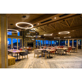 Saturn Nimbus Pendant - Crystal Palace Lighting