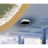 DOCCIA Exterior LED Wall / Ceiling Light - Crystal Palace Lighting