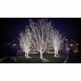 LED Rubber String Lights 200 bulbs - Crystal Palace Lighting