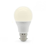 LED 6W – Standard Shape Bulb - Crystal Palace Lighting